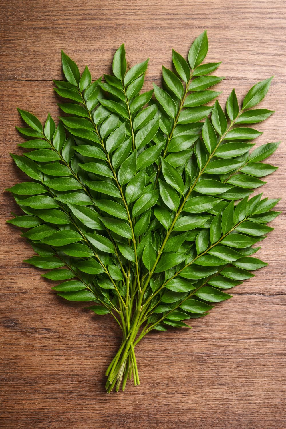 100% Natural Curry leaves(In Tampa only) 100% Natural Curry leaves(In Tampa only)