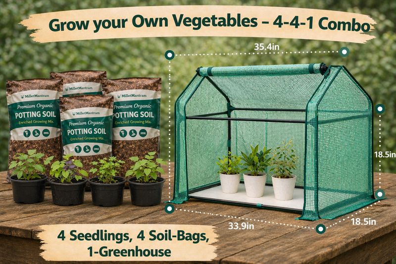 🌾 Mini Farm (Best Value) - Grow your Own Vegetables - 4-4-1 Combo - 4 Seedlings, 4 Soil-Bag, 1-Greenhouse (TAMPA ONLY)