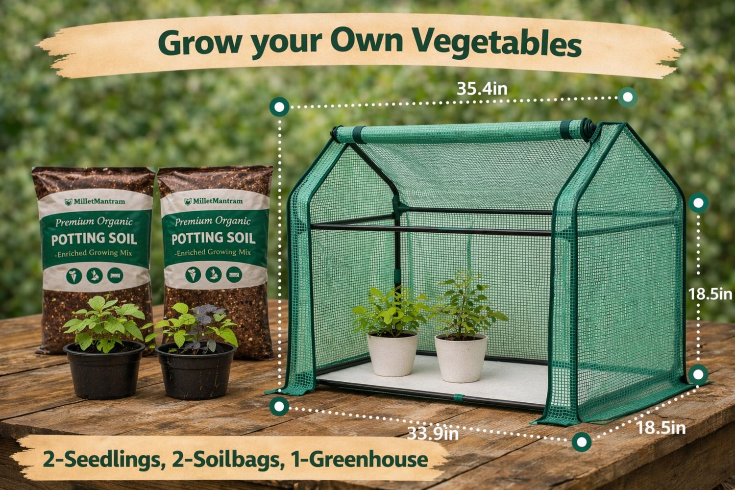 👨‍👩‍👧 Family Garden - Grow your Own Vegetables  -  2-2-1 Combo - 2 Seedlings, 2 Soil-Bags, 1-Greenhouse (TAMPA ONLY)