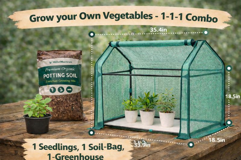 🌱 Starter Garden - Grow your Own Vegetables -  1-1-1 Combo - 1 Seedlings, 1 Soil-Bag, 1-Greenhouse (TAMPA ONLY)