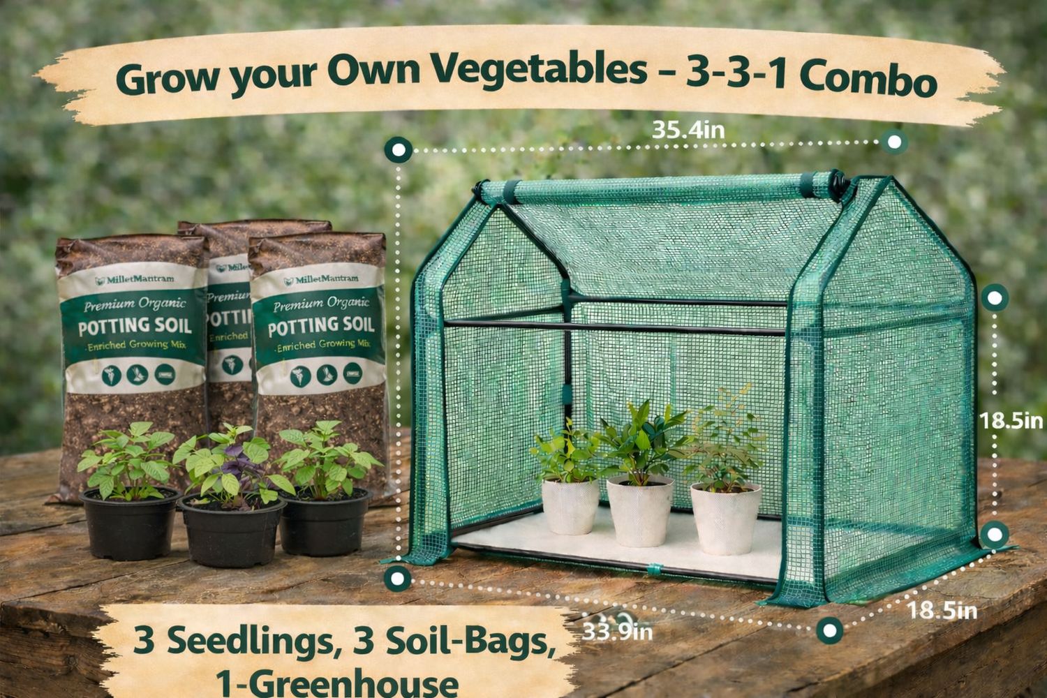 🏡 Home Garden (Most Popular) - Grow your Own Vegetables  -  3-3-1 Combo - 3 Seedlings, 3 Soil-Bag, 1-Greenhouse (TAMPA ONLY)
