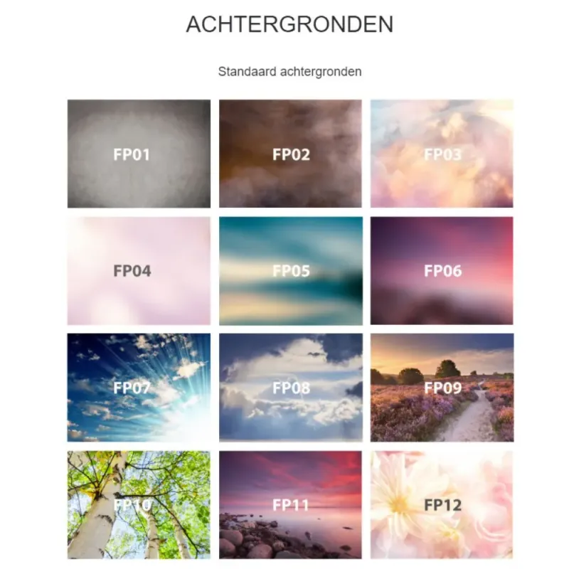 Fotoplaat op porselein + tekst: Ovaal