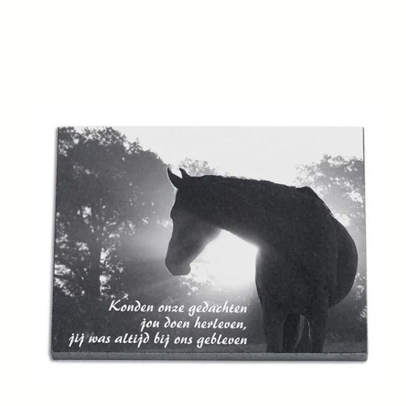 Gedenkplaat 30x40cm: tekst + laserfoto volledig dekkend