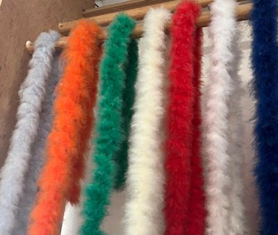 Plumes marabout