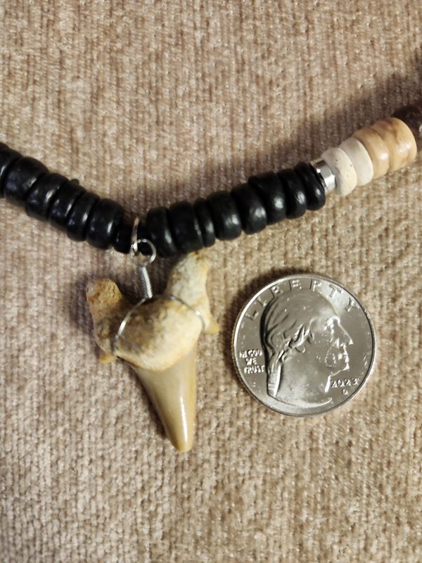 #4 Fossil Necklace Lg Coco w/Mor