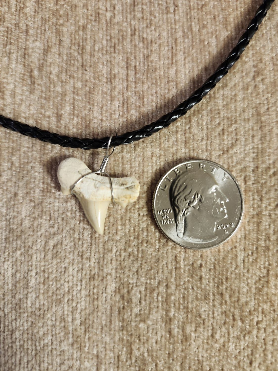 #8 Fossil Necklace Braided cord w/ single tooth