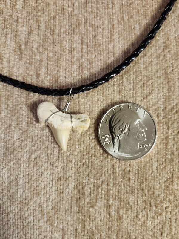 #8 Fossil Necklace Braided cord w/ single tooth