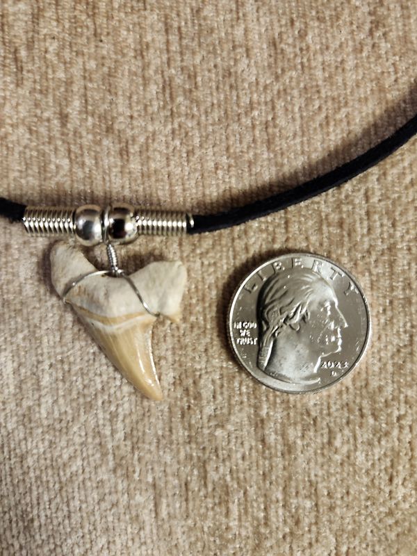 #7 Fossil Necklace Suede Cord w/metal balls