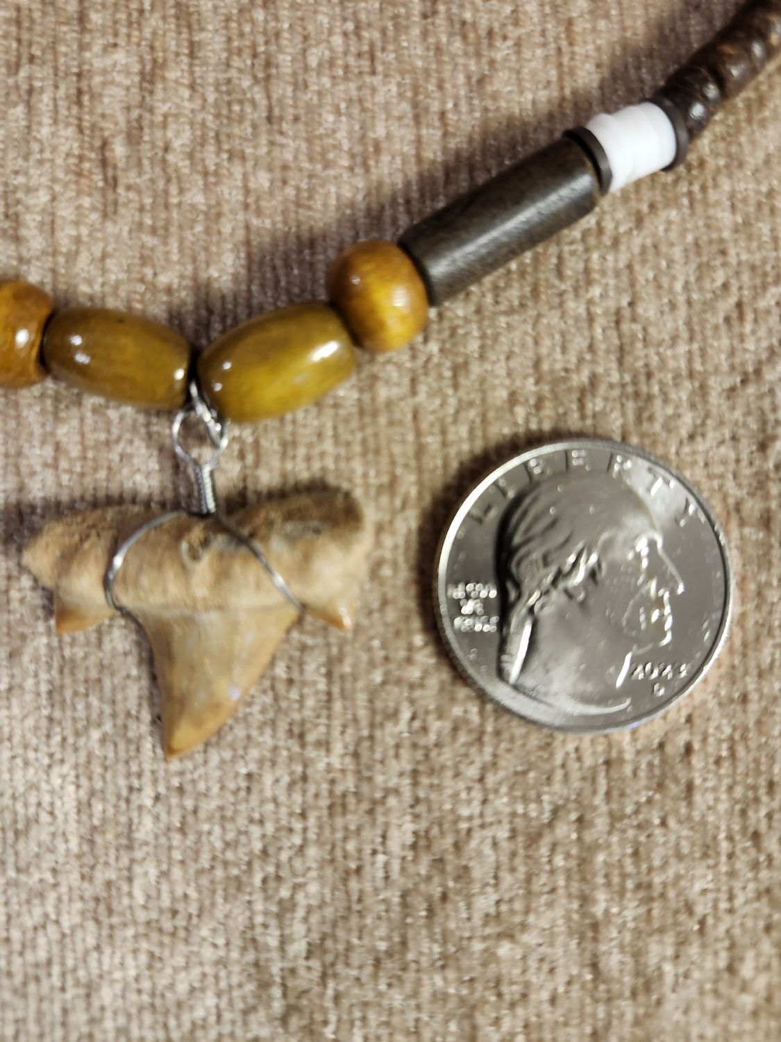 #2b Fossil Necklace Wood / Coco