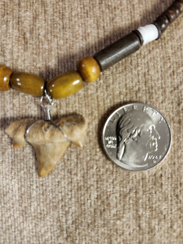 #2b Fossil Necklace Wood / Coco