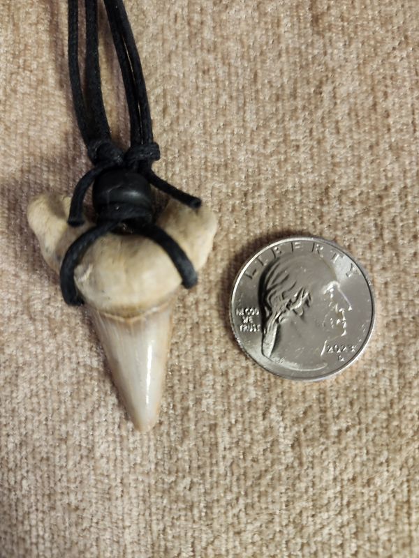 #1 Fossil Necklace Large Nylon