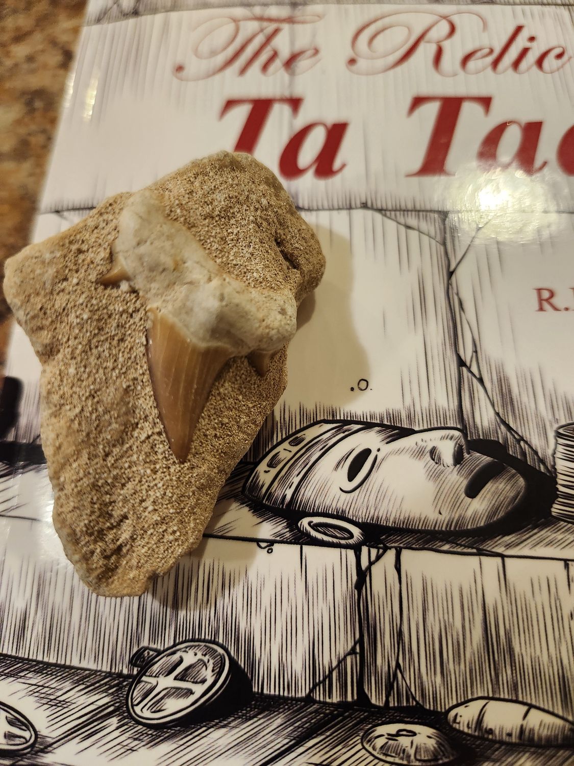 #11 Combo Book Relic