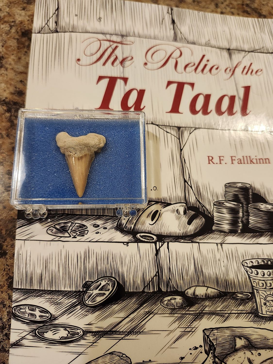 #10 Combo Book Relic