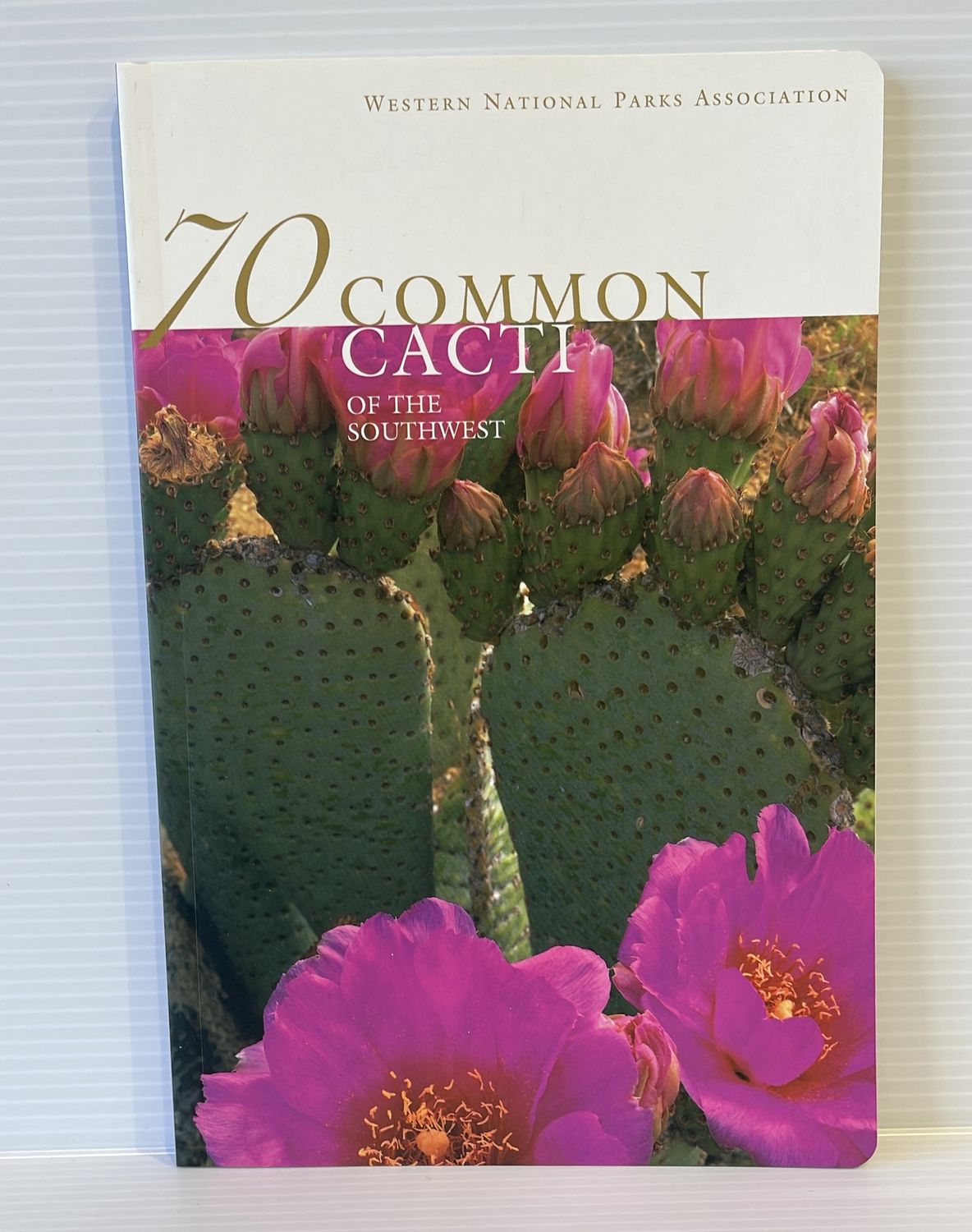 70 Common Cacti of the Southwest