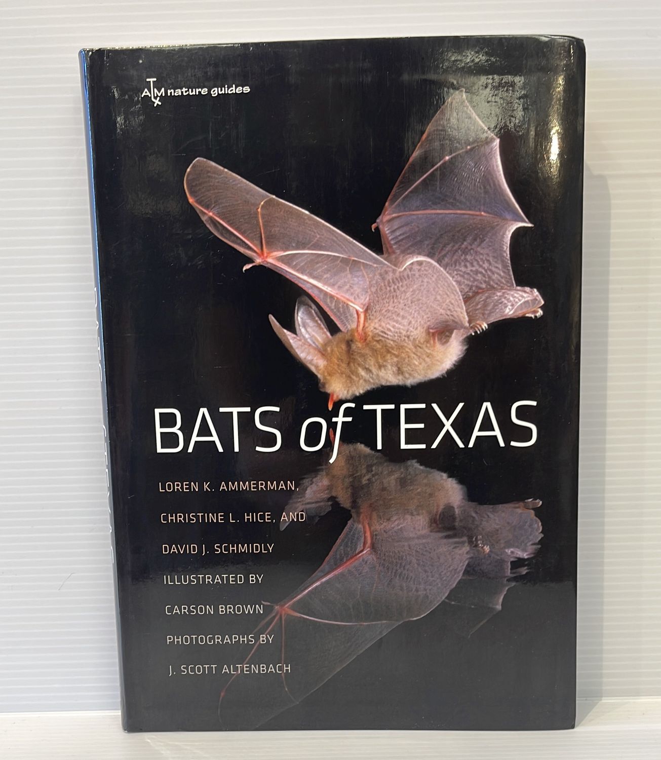 Bats of Texas
