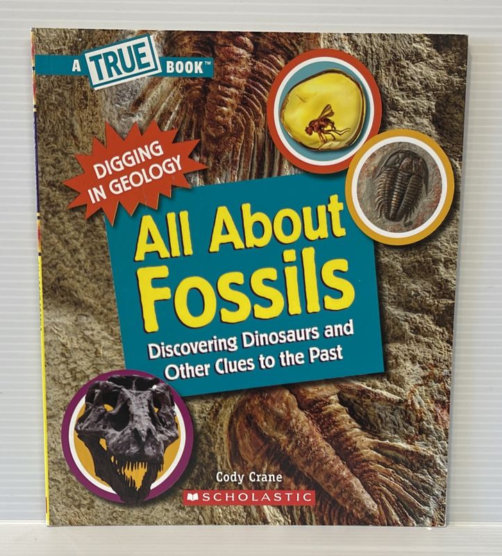 All About Fossils (True Book Series)