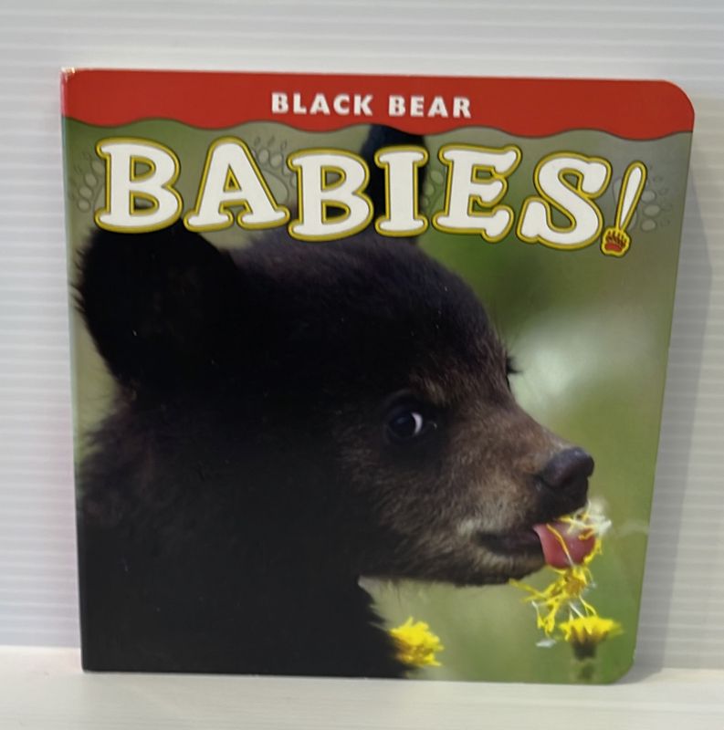 Black Bear Babies