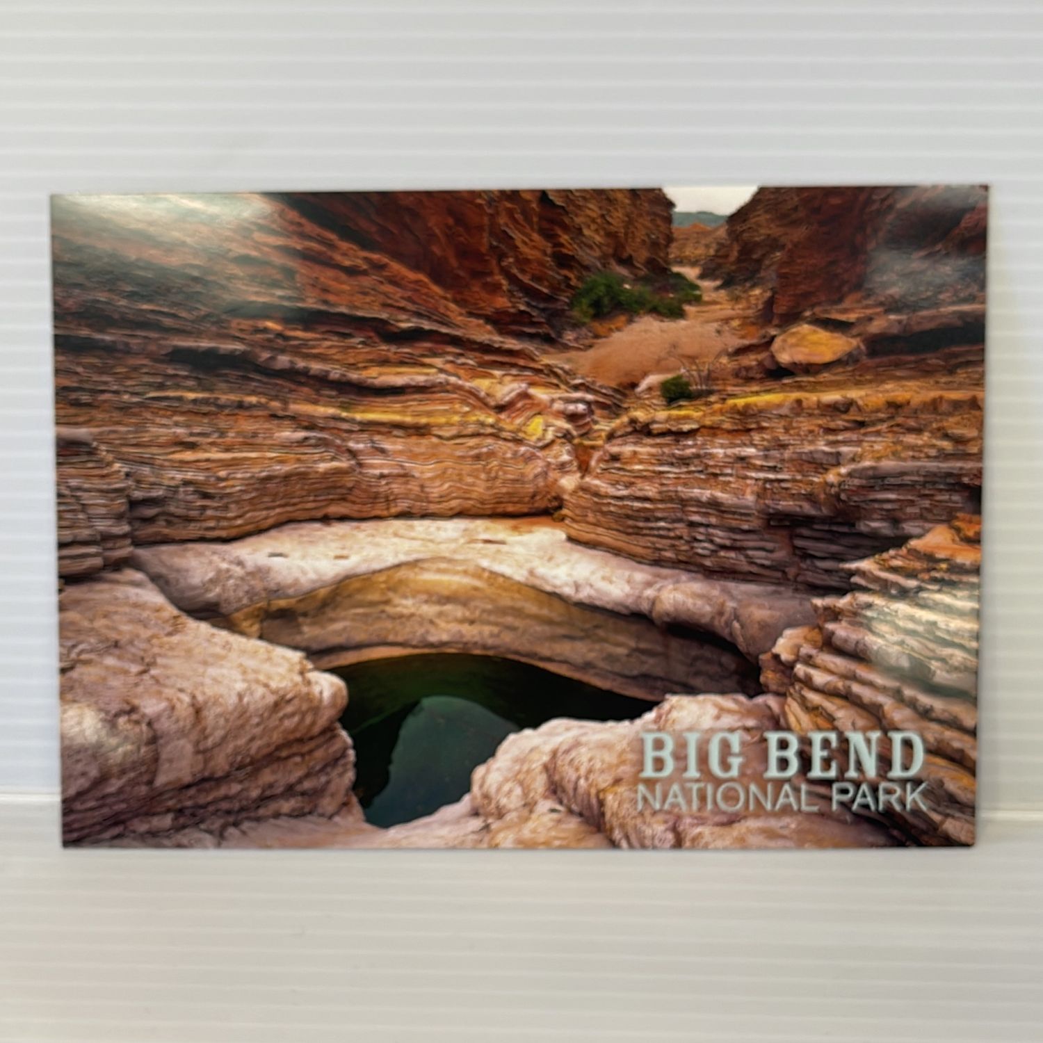 Photo postcard Ernst Tinaja 45574