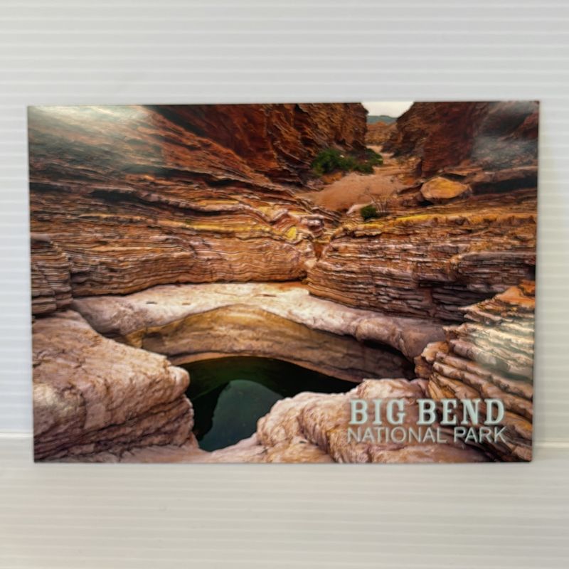 Photo postcard Ernst Tinaja 45574