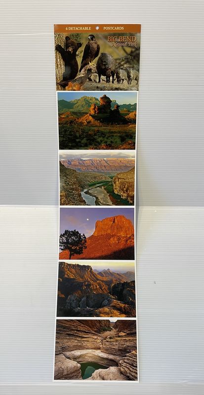 Strips Big Bend scenes _3-Animals