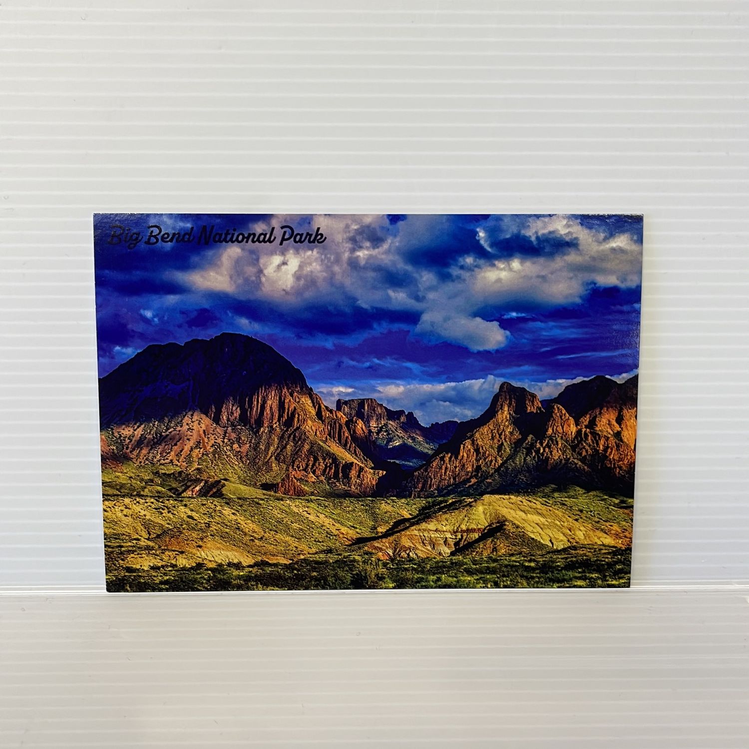 Photo Postcard Window Backside 98219