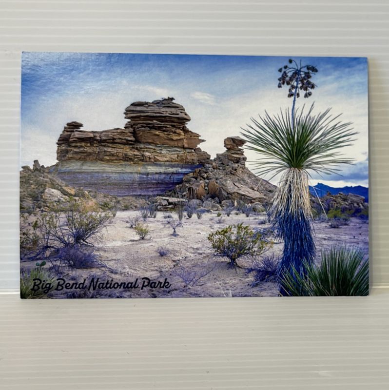 Photo Postcard Hoodoos New 98208