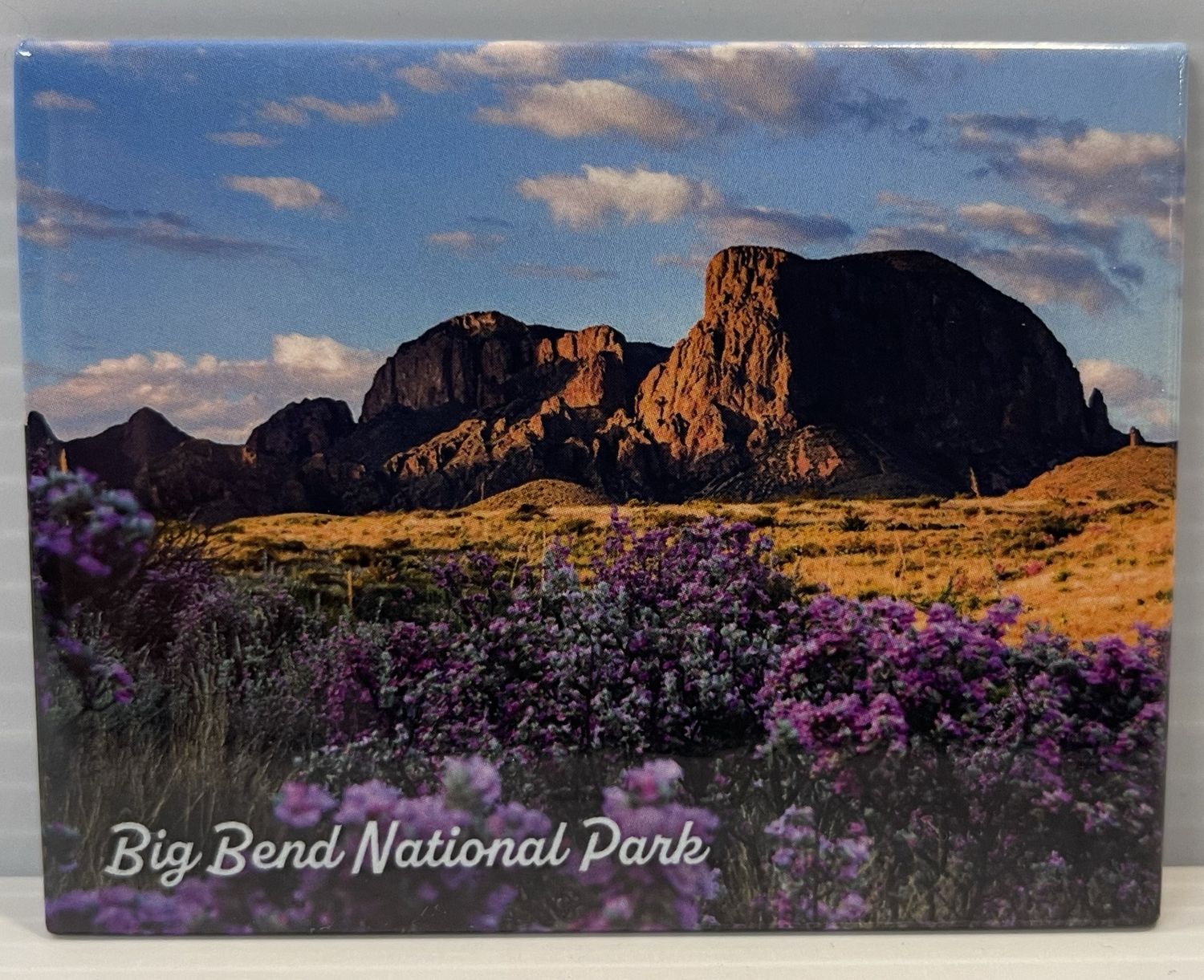 Badge Magnet Big Bend Spring