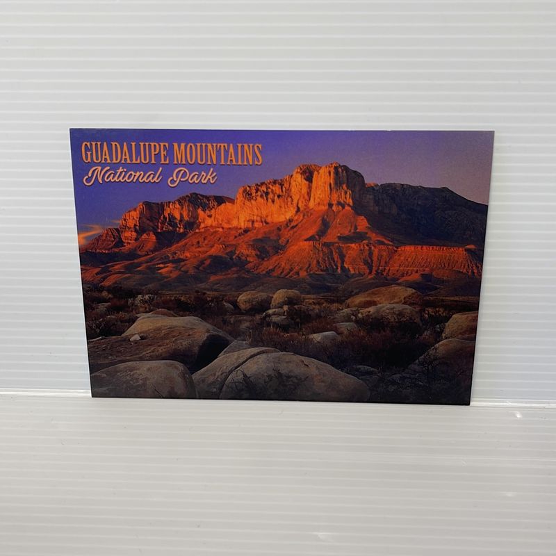 Photo postcard GUMO (21126)