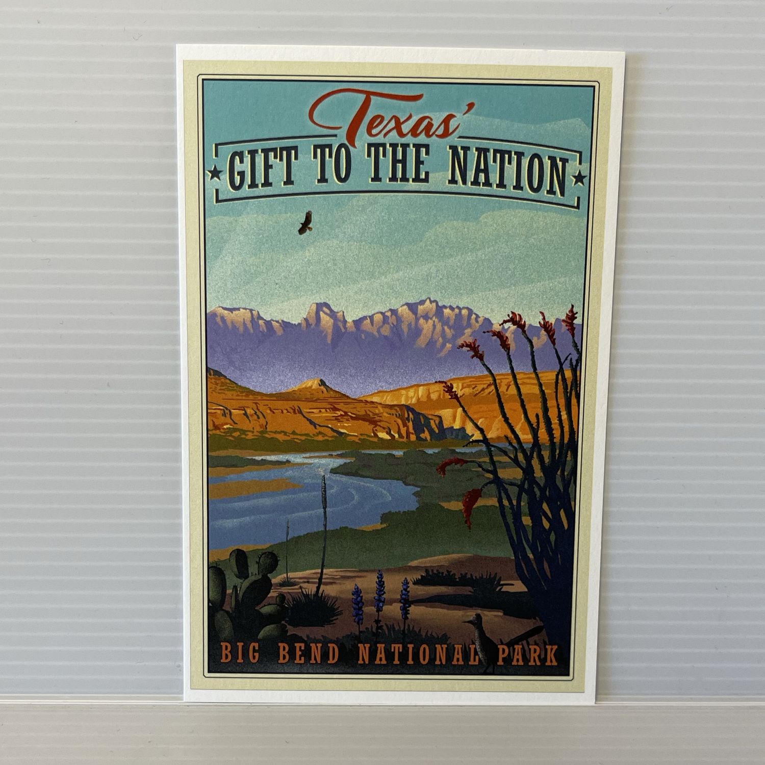 Texas' Gift Premium Postcard