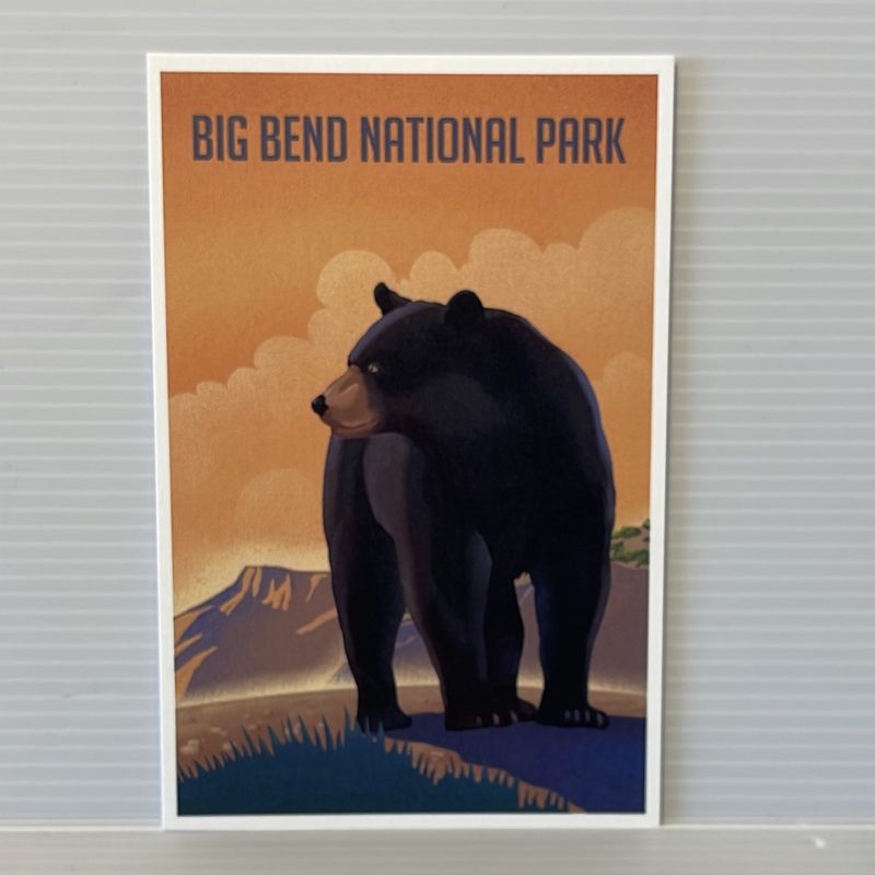 Illustrated Postcard Black Bear