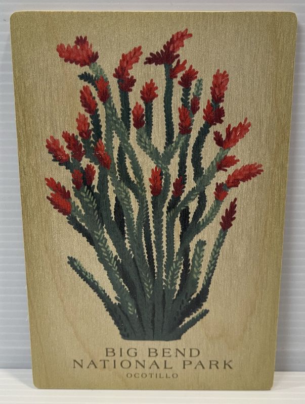 Wood Postcard Ocotillo Vintage Big Bend