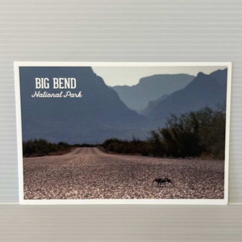 Photo Postcard Tarantula Road