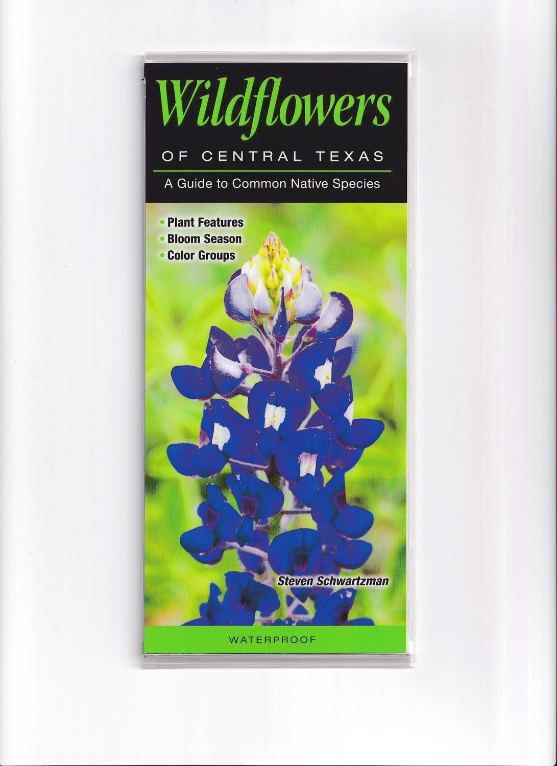 Laminated Guide - Wildflowers of Central Texas