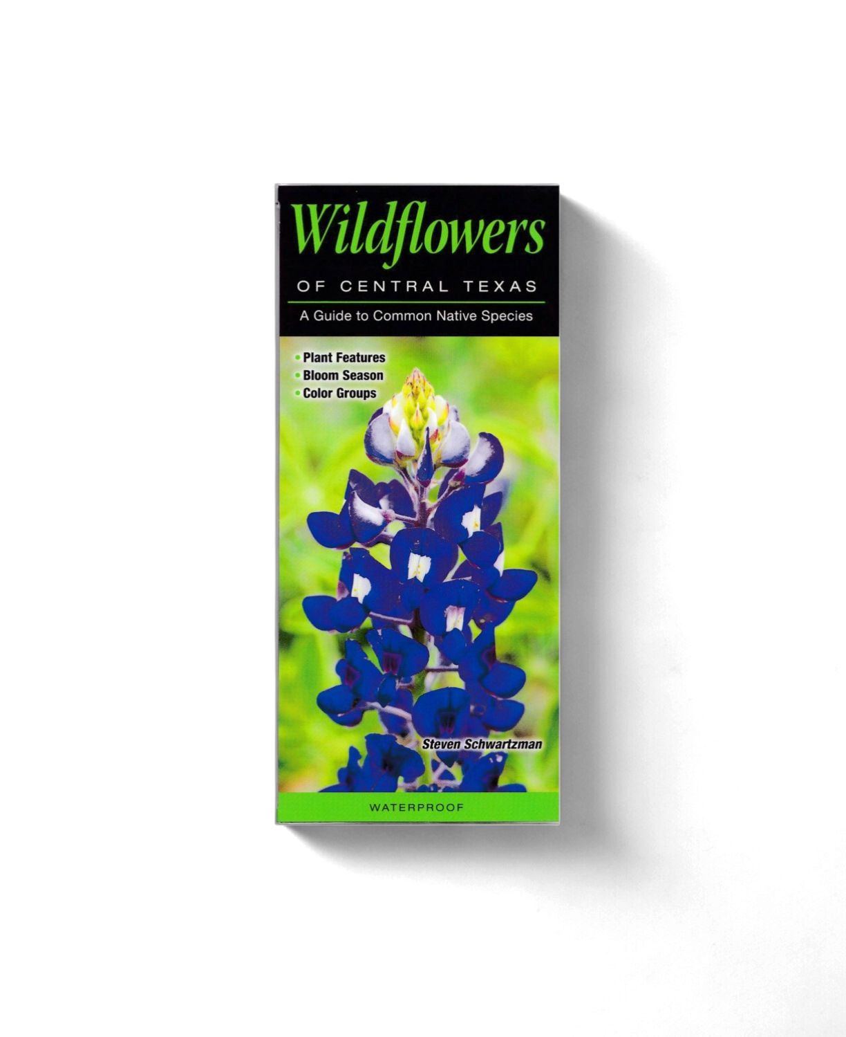 Laminated Guide - Wildflowers of Central Texas