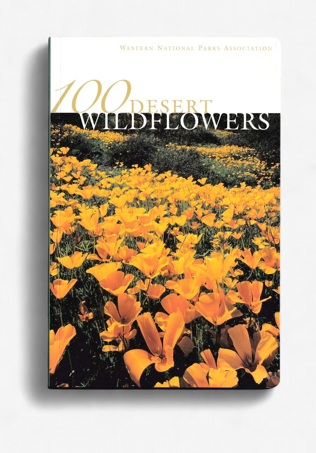 100 Desert Wildflowers 100 Desert Wildflowers