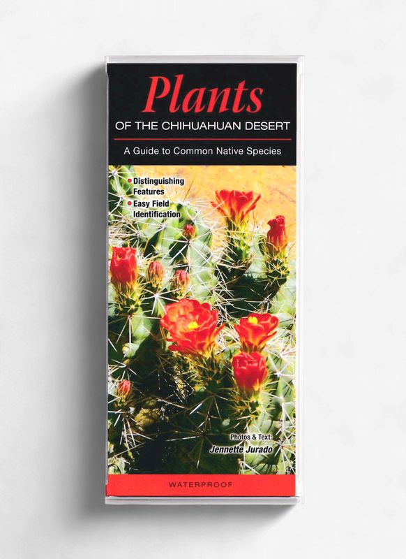 Laminated Guide - Chihuahuan Desert Plants