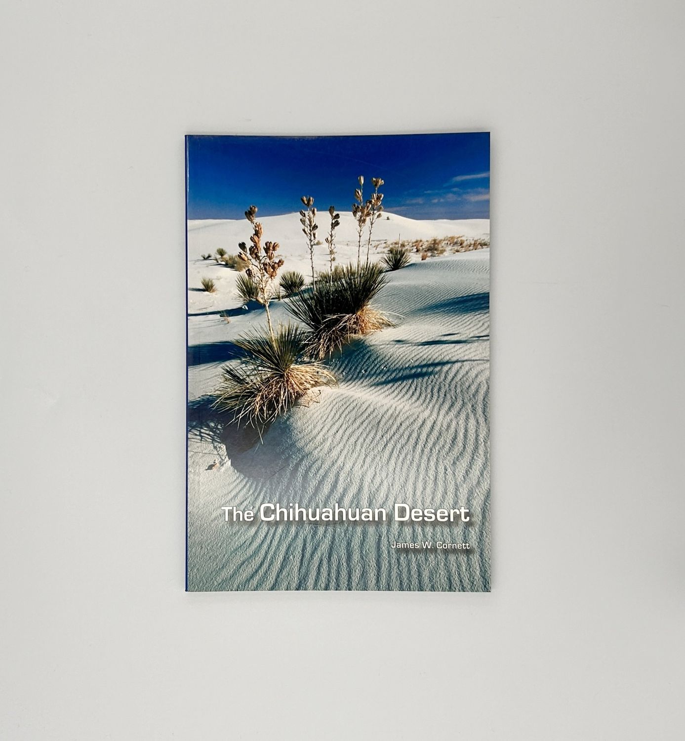 Chihuahuan Desert (Cornett)