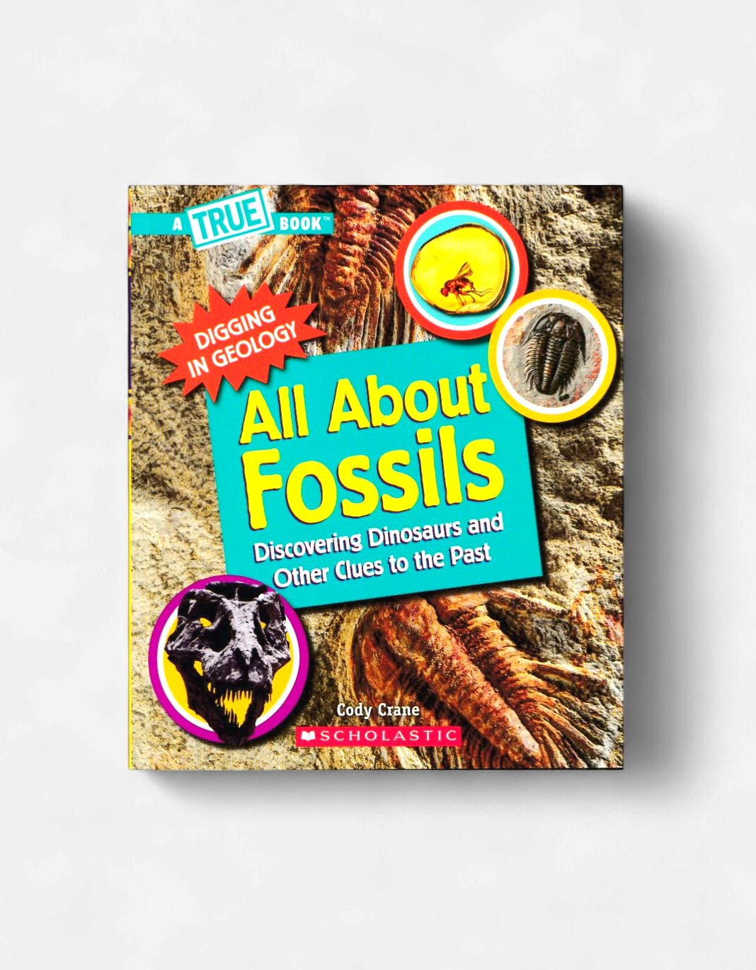 All About Fossils (True Book Series)