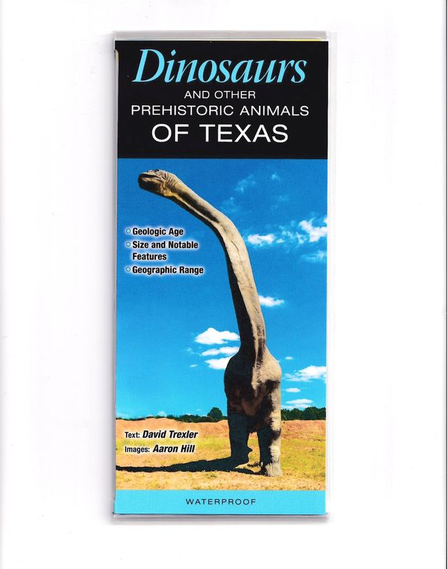Laminated Guide - Dinosaurs of Texas