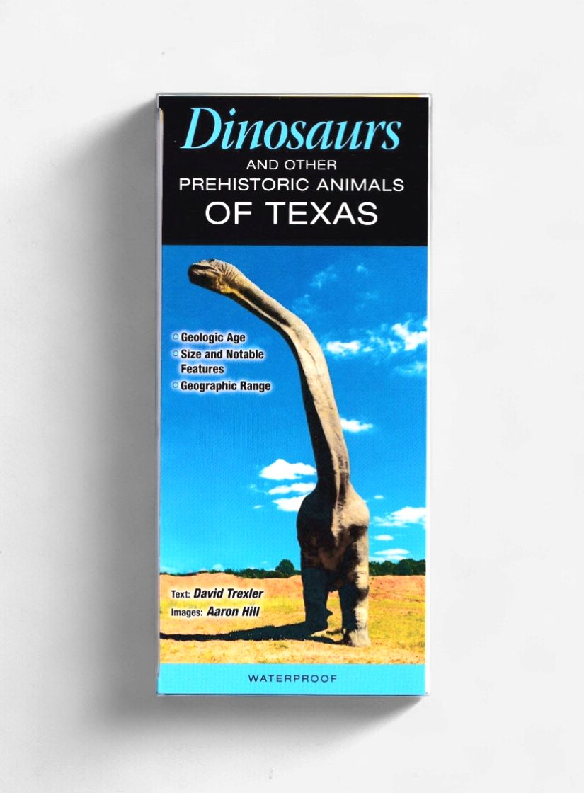 Laminated Guide - Dinosaurs of Texas