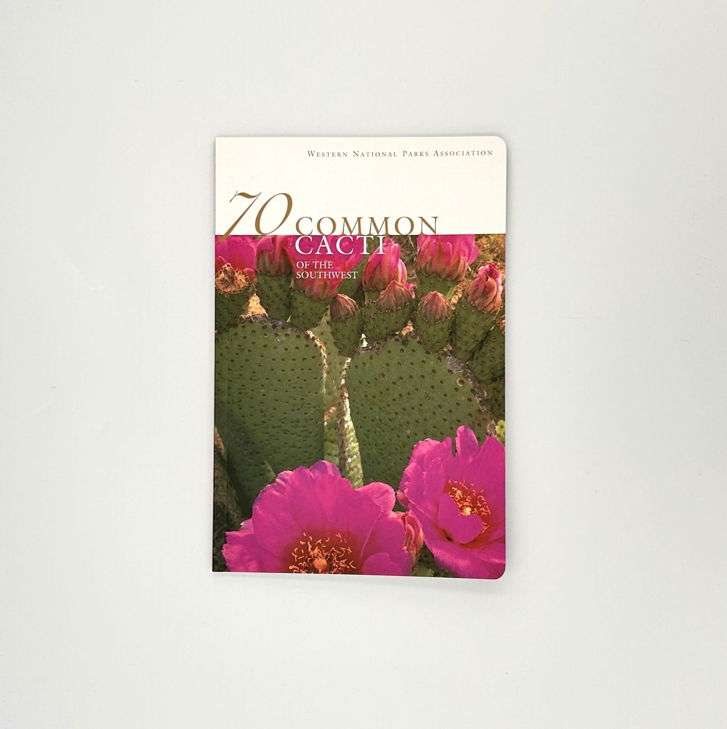70 Common Cacti of the Southwest