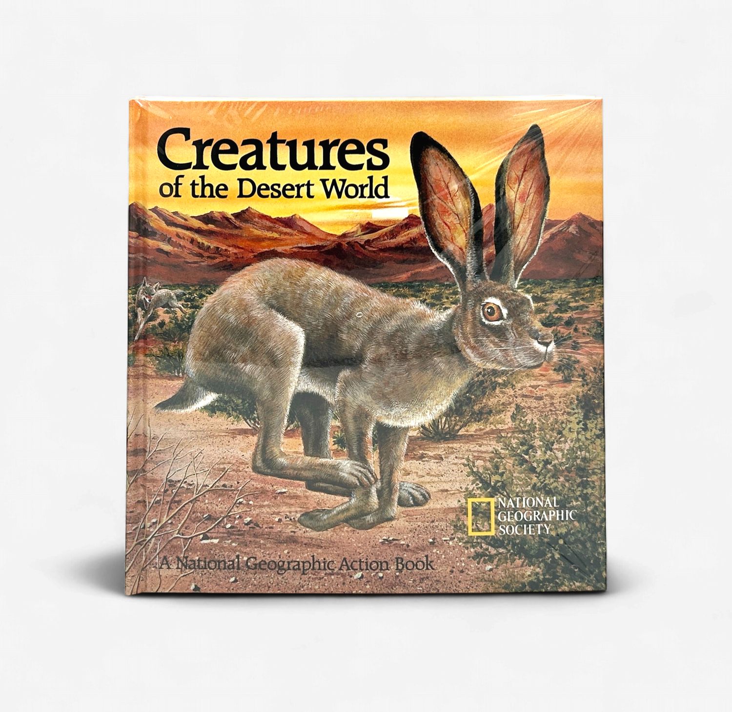 Creatures of the Desert World Creatures of the Desert World