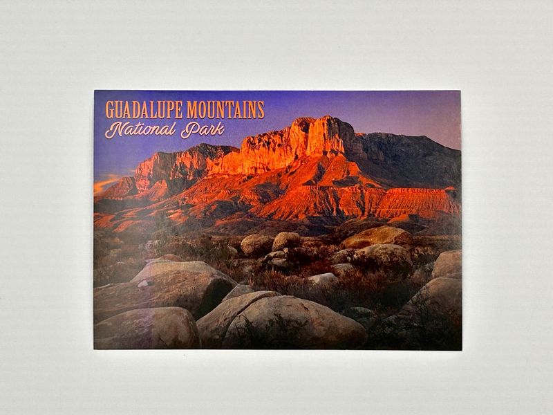 Photo postcard GUMO (21126)