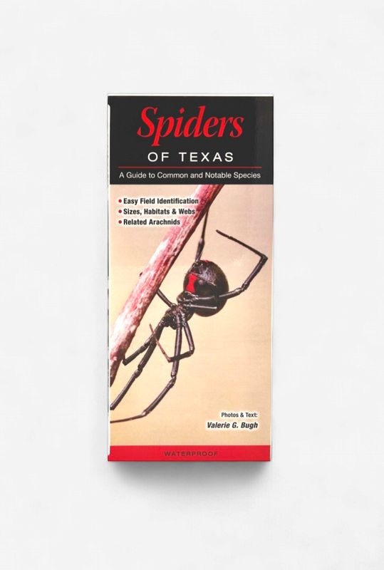 Laminated Guide - Spiders of Texas