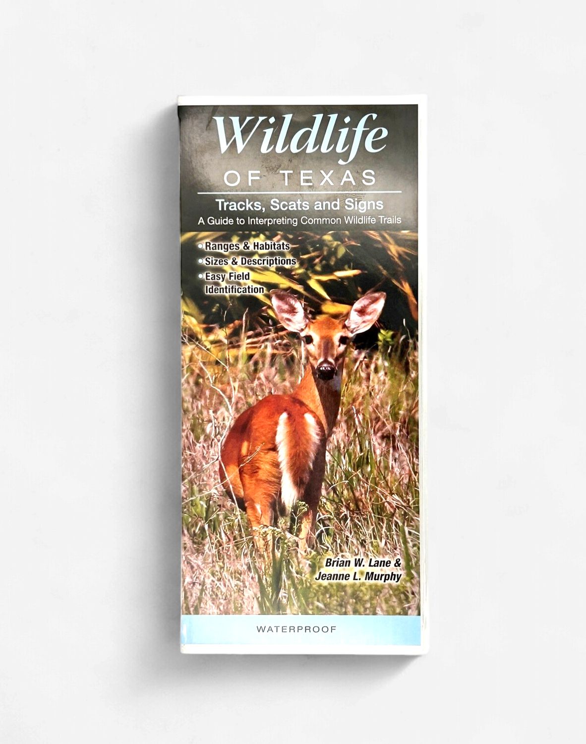 Laminated Guide-Wildlife of Texas Tracks Scats and