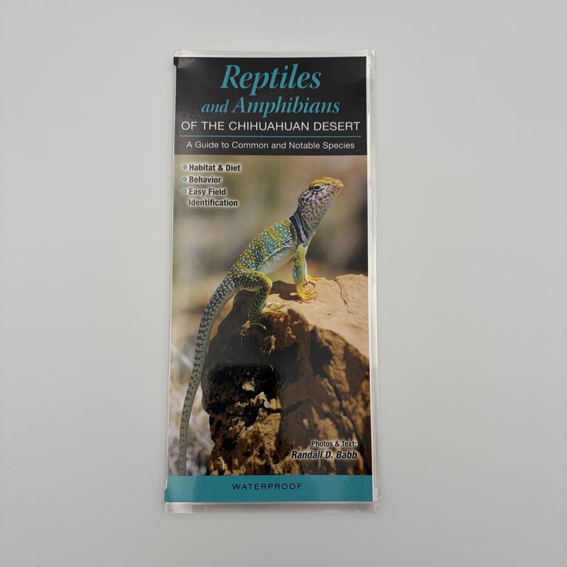 Laminated Guide - Reptiles and Amphibians of the C
