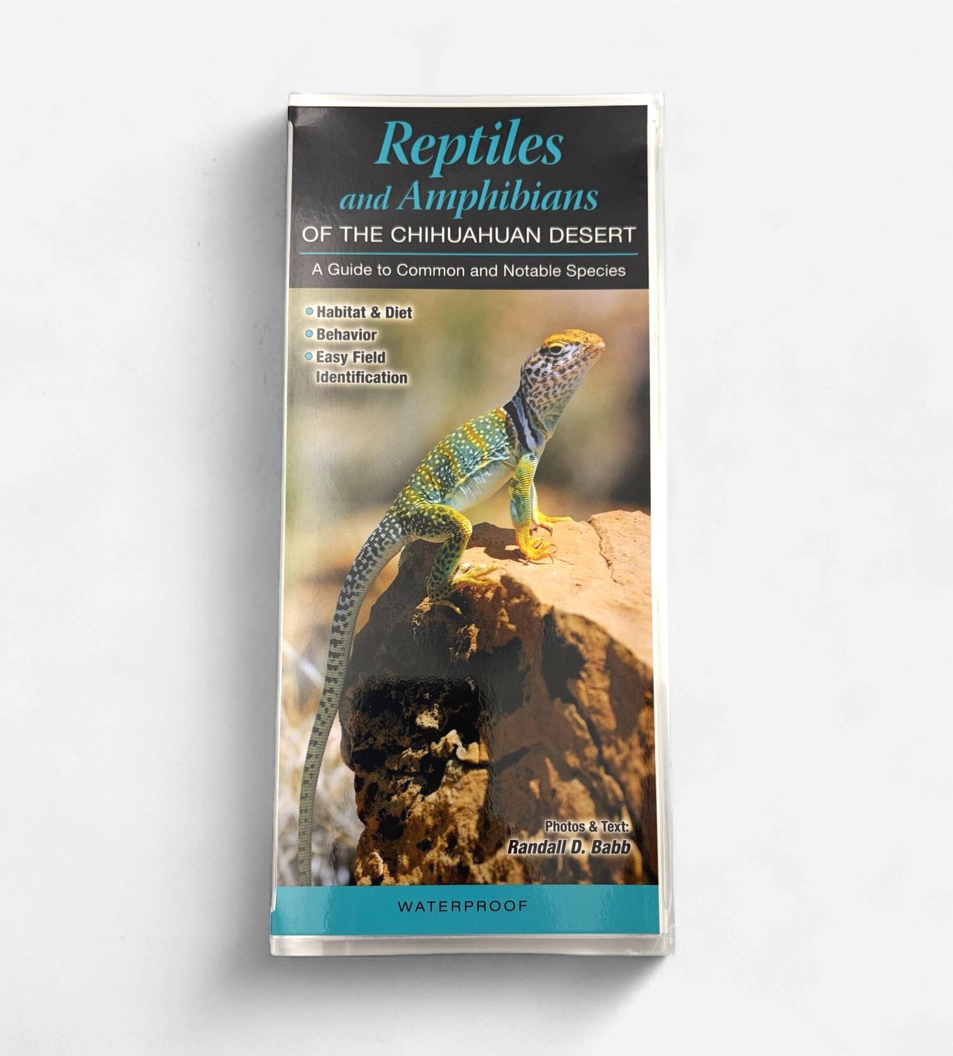 Laminated Guide - Reptiles and Amphibians of the C