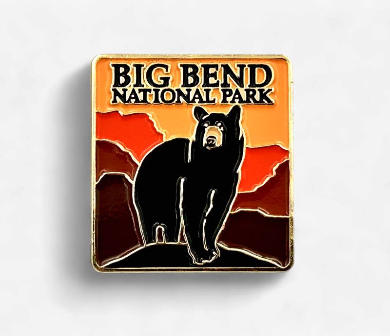 Black Bear Pin