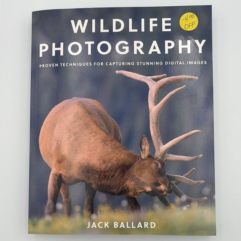 Wildlife Photography