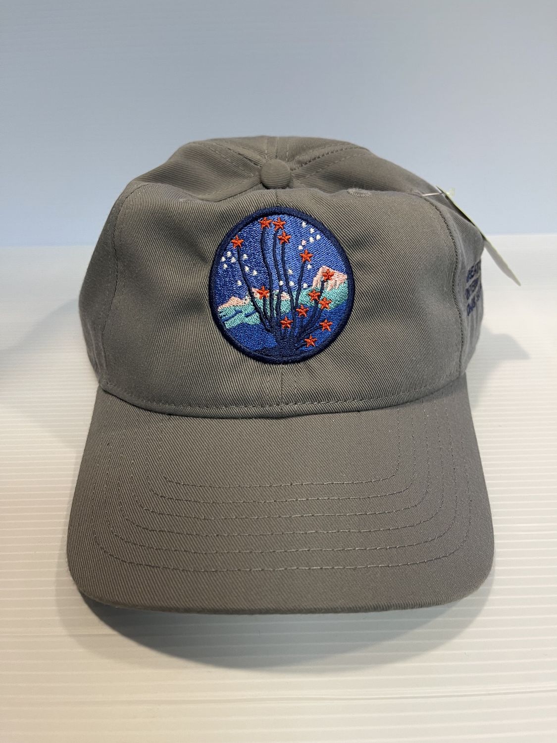 Dark Sky Cap Dark Sky Cap, Color: Grey